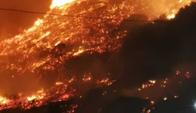 Incendio Bosa Tagliata