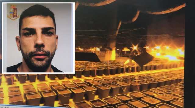 Serra Marijuana Filippo Gavezzeni Doppia
