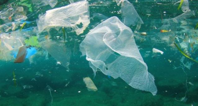 Plastica In Mare