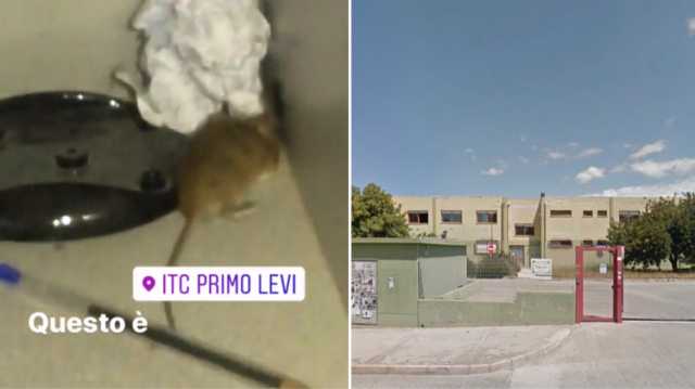 Topi Primo Levi Scuole