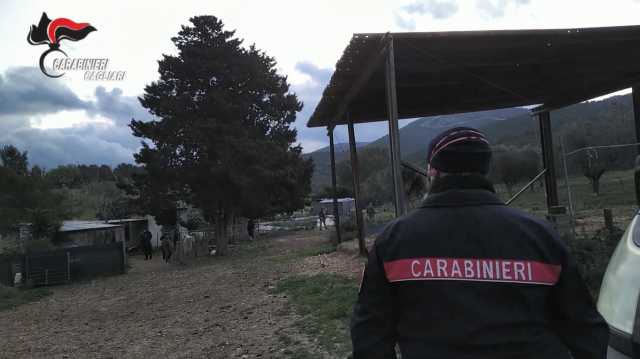 CARABINIERI DOLIANOVA