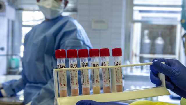 Microbiologia