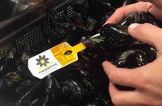 Nieddittas Cozze