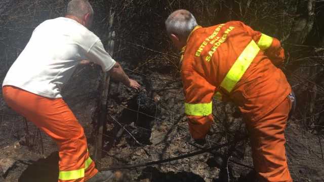 Youtg Net Accordi Non Rispettati 2500 Operai Di Forestas Sul Piede Di Guerra