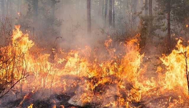 Incendio Sardegna