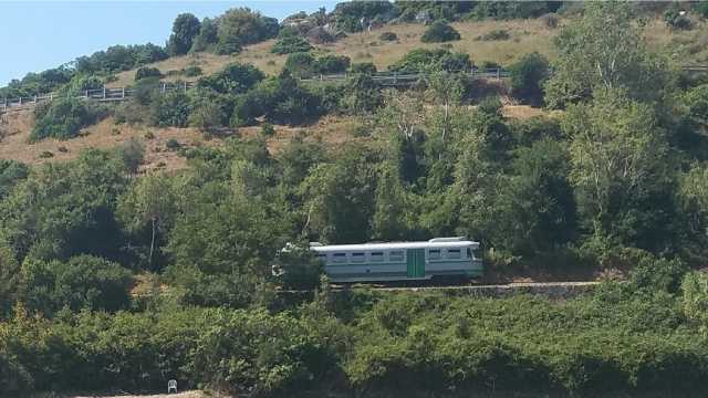 Trenino Verde1