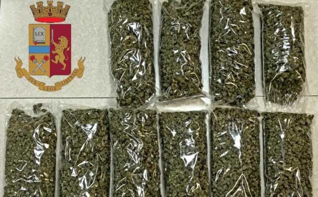 10kgmarijua