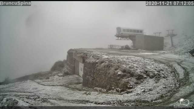 Bruncuspina Neve 21 Nov