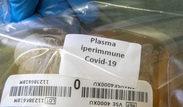 Plasma Iperimmune