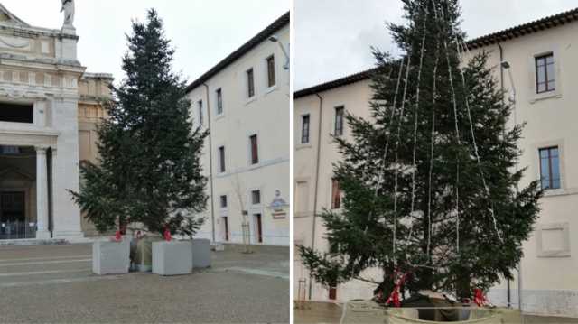 Albero Natale Sardegna Assisi