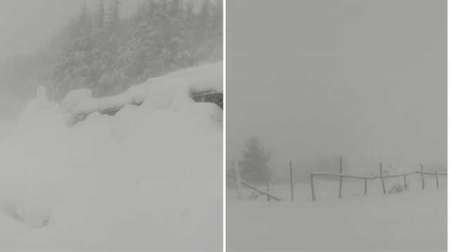 Bufera Neve Separado