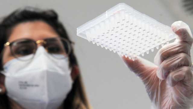 Lab Tamp Donna
