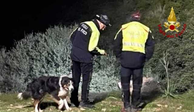 Vigil Del Fuoco Solanas Cane Scomparsa 