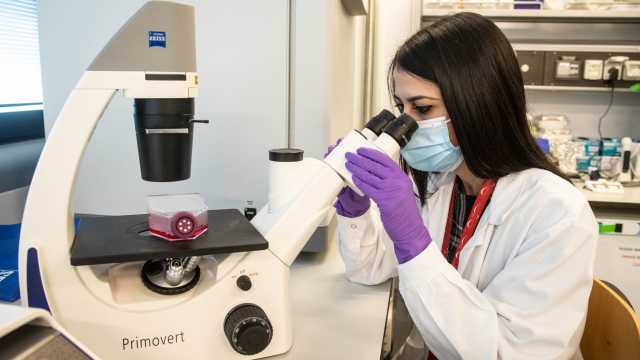 Laboratorio