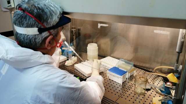 Laboratorio Microbiologia 800