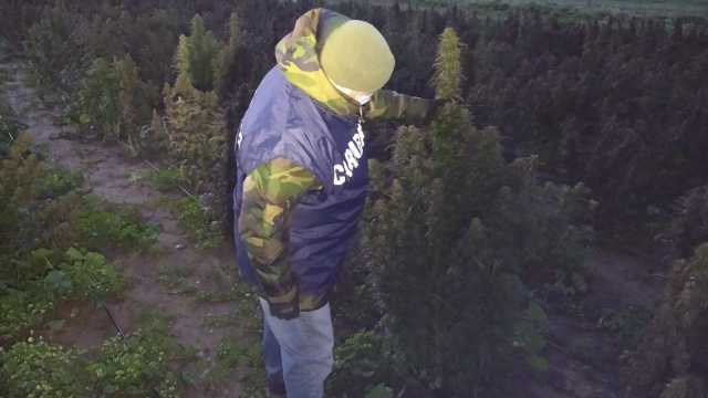 1617779456465