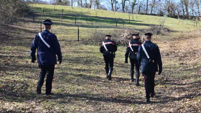 IMG 4925