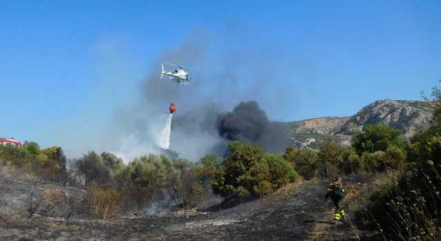 Bosco Sardegna