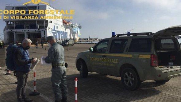 Controlli Forestale