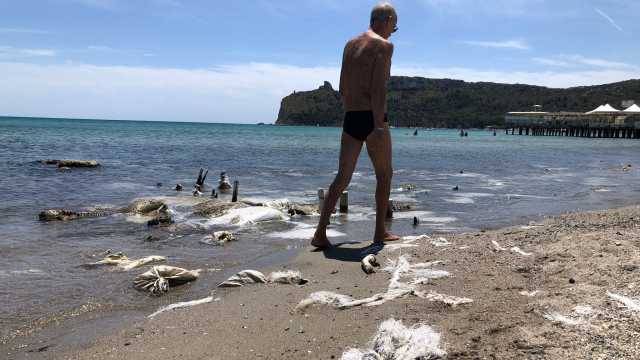 Sacchi Lido