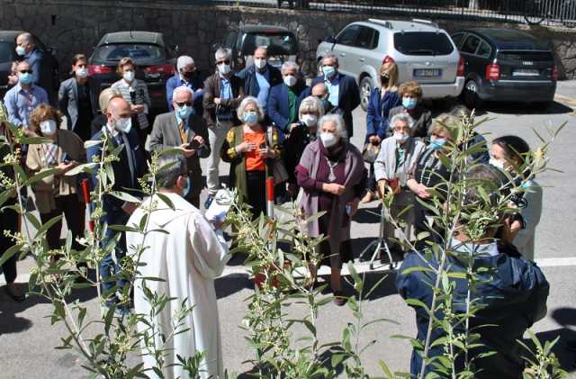 Ulivo Benedizione