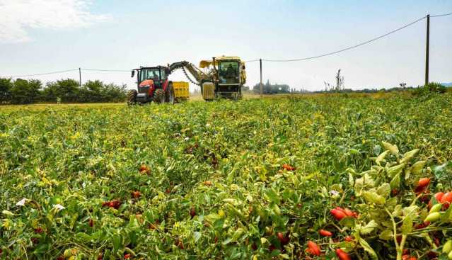 Agricoltura Niente Ristori