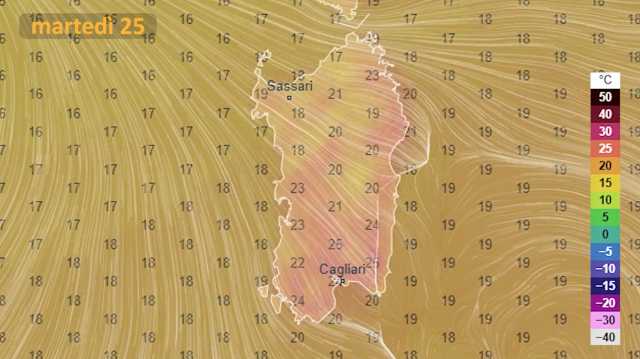 MRTEDì 25