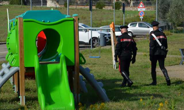 Pecore Giardino Scuola