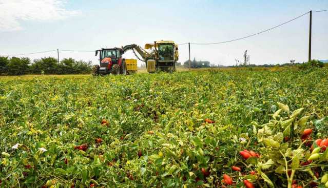 Agricoltura Sblocco