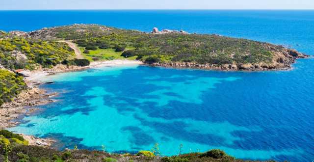 Asinara 