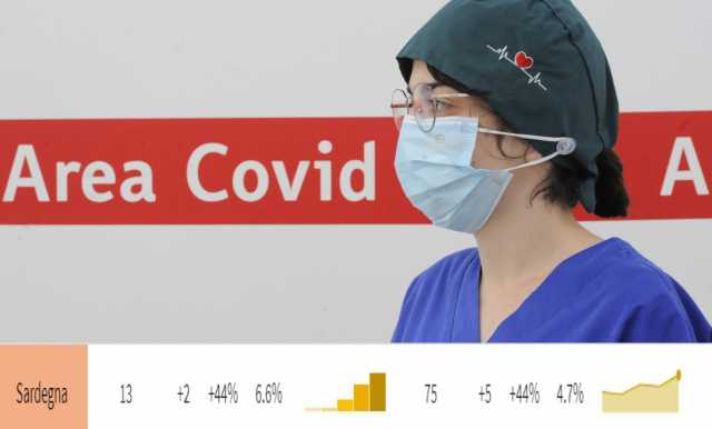 AREA COVID