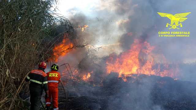 Incendi 6 Luglio