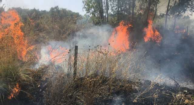 Incendio Villanovafranca 2021 Campagna