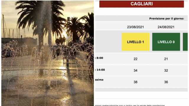 Caldo Amc