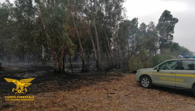 Incendiario Arrestato Serramanan