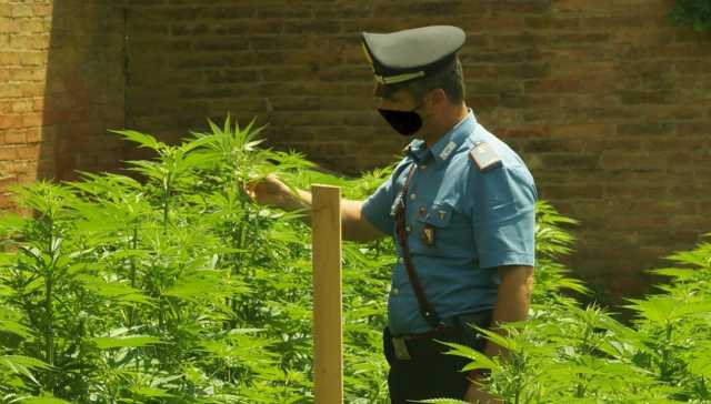 Carabiniere Marijuana