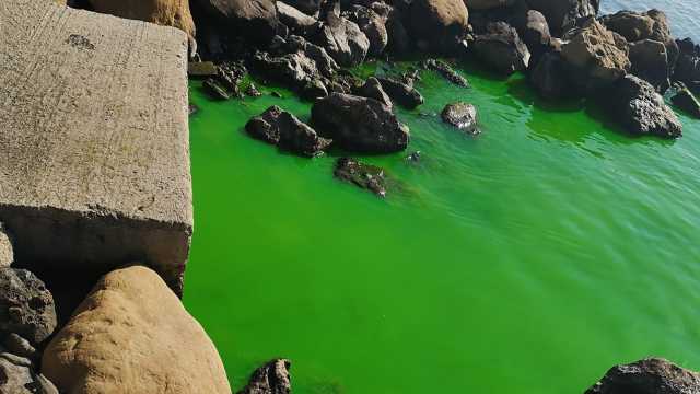 Cagliari, misterioso sversamento di liquido verde nel mare di Su Siccu