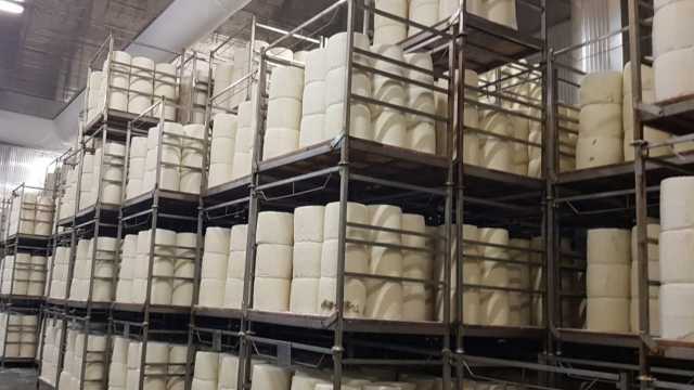 A rischio le esportazioni del pecorino romano