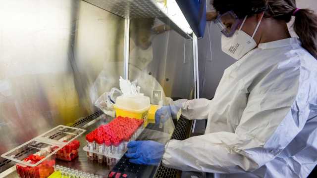 Analisi tamponi Covid