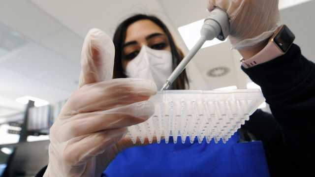 Analisi sui tamponi effettuati in Sardegna