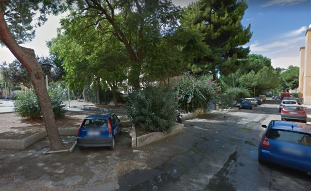 Cagliari, in piazza Medaglia saranno tagliati sei alberi pericolanti