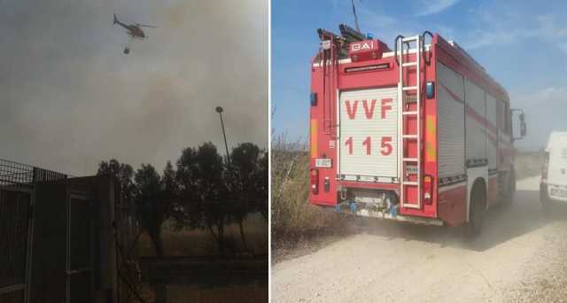 Il canile di Villacidro salvato dall'incendio: "Salvati gli animali e i box"