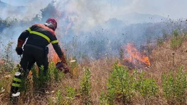 Incendio Dorgali