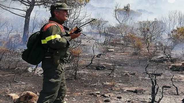 Mille ettari bruciati in Sardegna nel 2022