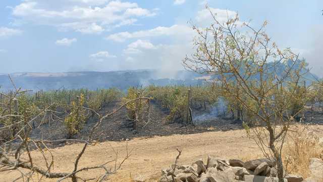 Incendio a Mandas