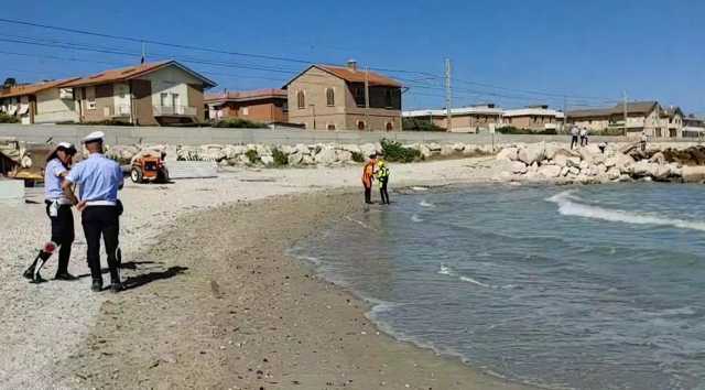 La spiaggia di fano 