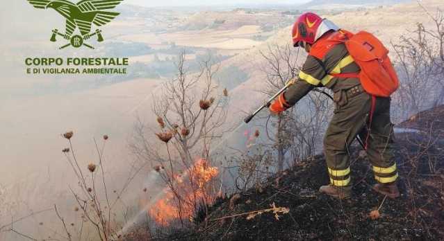 Sabato di incendi in Sardegna, 23 roghi: campi in fiamme da Monti a Serdiana