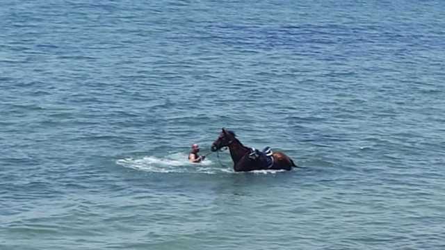 Bagno col cavallo al mare a Margine Rosso