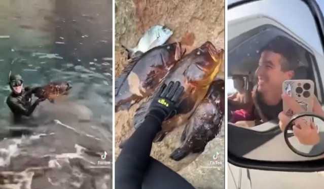 Cernie pescate in area marina protetta e vendute al ristorante: in Sardegna il video delle polemiche