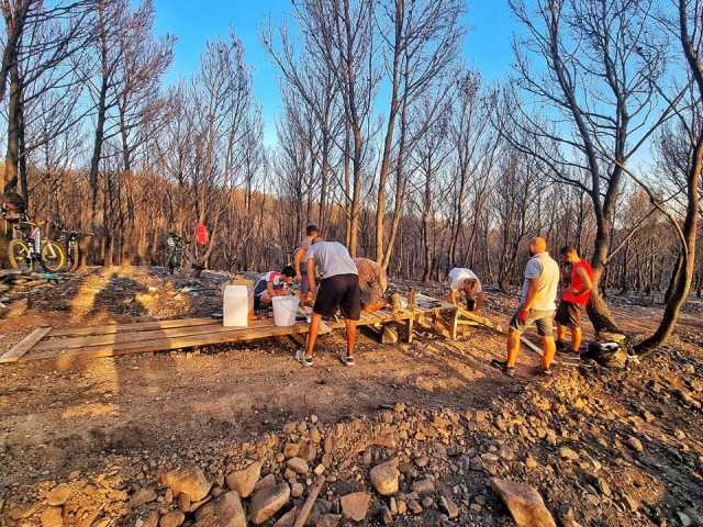 Riforestazione a Monastir